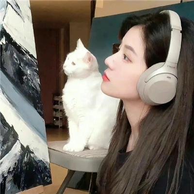罗伯特·唐尼：自成一格